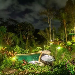The Jungle , Ubud Indonesien